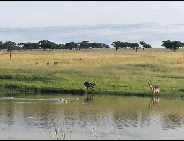 691HA FARM FOR SALE IN NEWCASTLE CENTRAL
